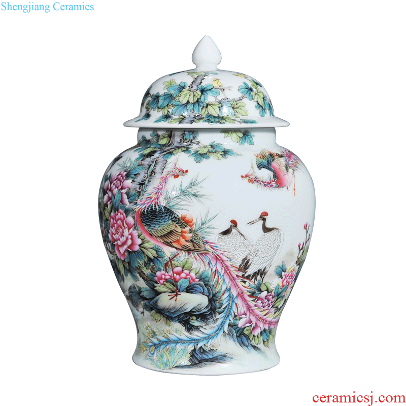 Jingdezhen ceramic hand-painted heavy pastel large sitting room porch is decorated tea storage tank is Chinese style household furnishing articles