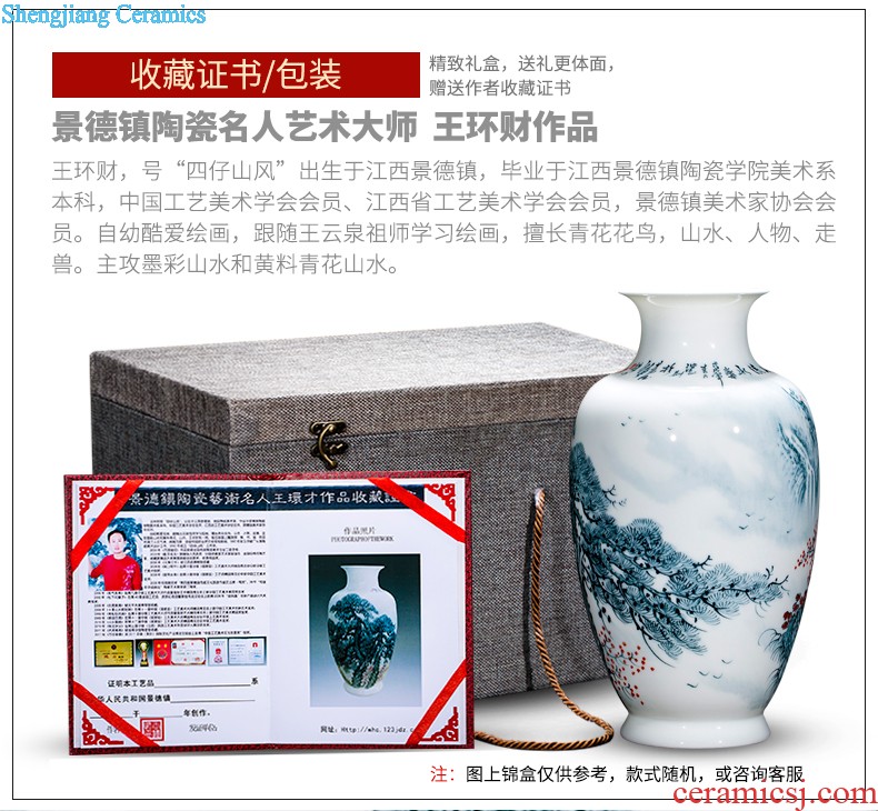 Jingdezhen ceramics antique hand-painted peacock vase sitting room adornment of large Chinese penjing opening gifts