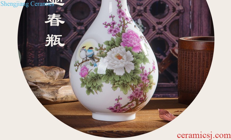 Jingdezhen ceramics white eggshell creative floret bottle sitting room adornment hydroponic flower arrangement furnishing articles of modern art