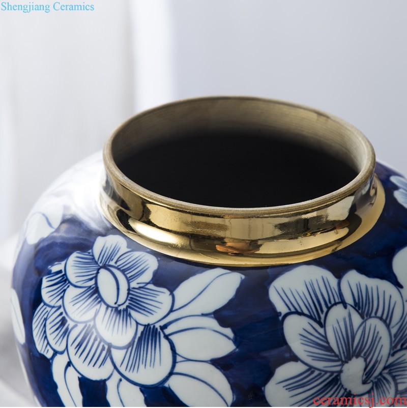 Jingdezhen ceramic European contracted floret bottle home sitting room all over the sky star hydroponic flower arrangement the flower adornment furnishing articles