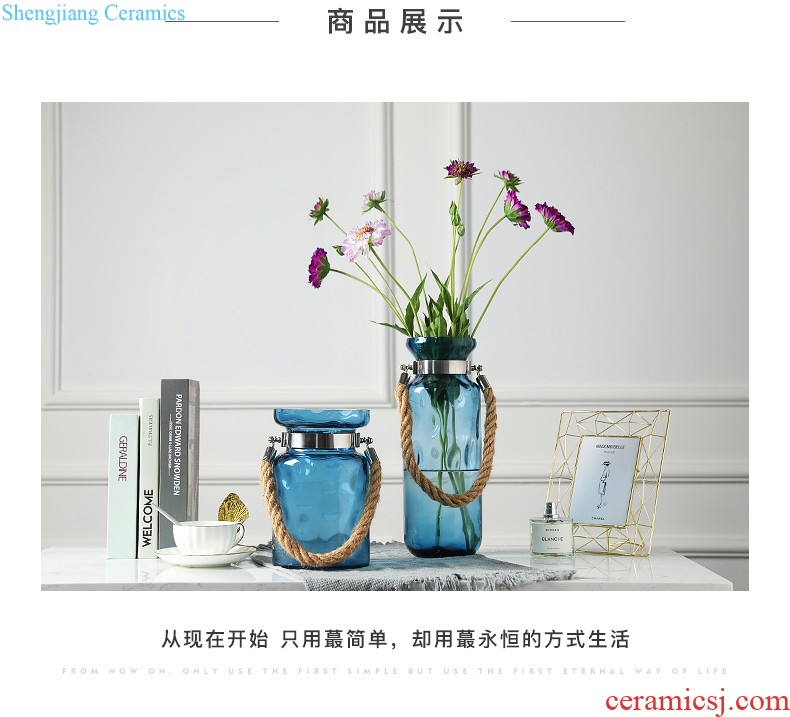 Contemporary and contracted ceramic vase furnishing articles sitting room flower arranging, creative water transfer printing vase household adornment furnishing articles