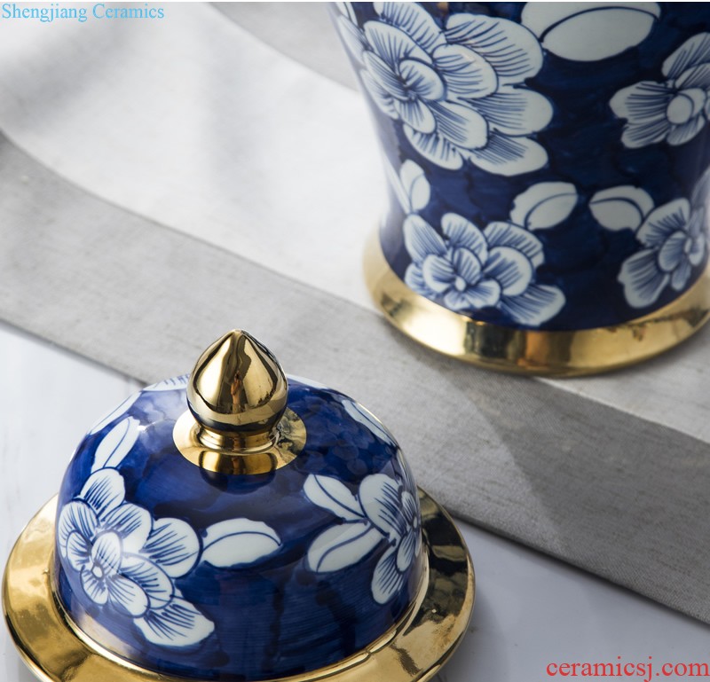 Jingdezhen ceramic European contracted floret bottle home sitting room all over the sky star hydroponic flower arrangement the flower adornment furnishing articles