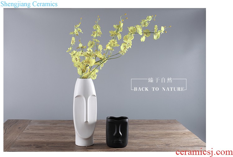 Jingdezhen ceramics vase furnishing articles creative kiln art star modern fashion contracted sitting room home decorations