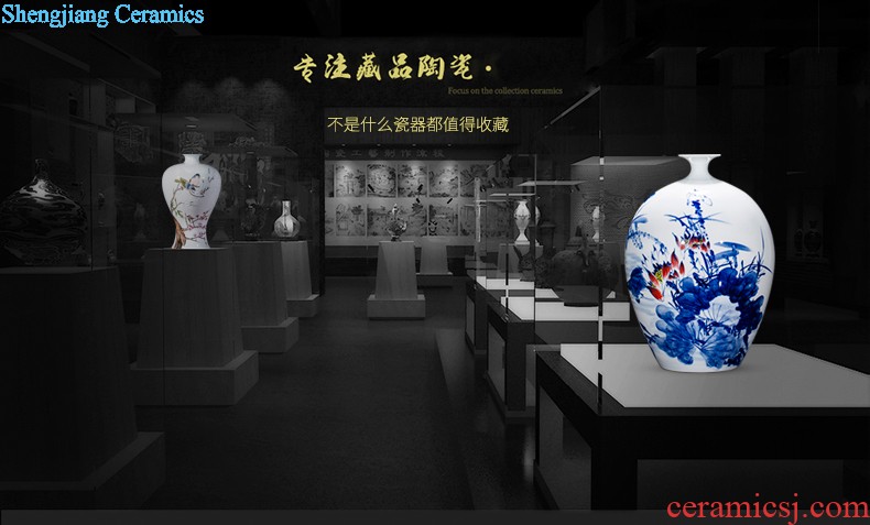 Jingdezhen ceramic hand-painted large blue and white porcelain vase Lin He spring sitting room adornment TV setting wall furnishing articles