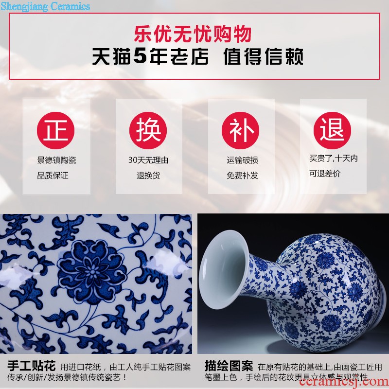 Jingdezhen ceramics sat dish hang dish chicken in modern living room of Chinese style household crafts are propitious decorative plate