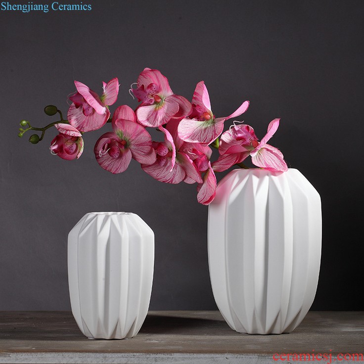 Jingdezhen ceramic vase furnishing articles dry flower arranging flowers large landing household adornment of contemporary sitting room simulation flower suits