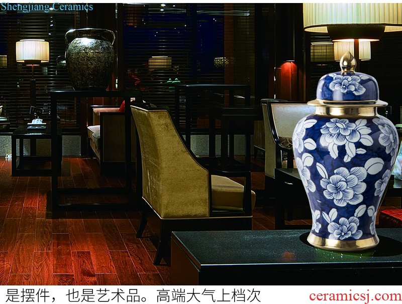 Jingdezhen ceramic European contracted floret bottle home sitting room all over the sky star hydroponic flower arrangement the flower adornment furnishing articles