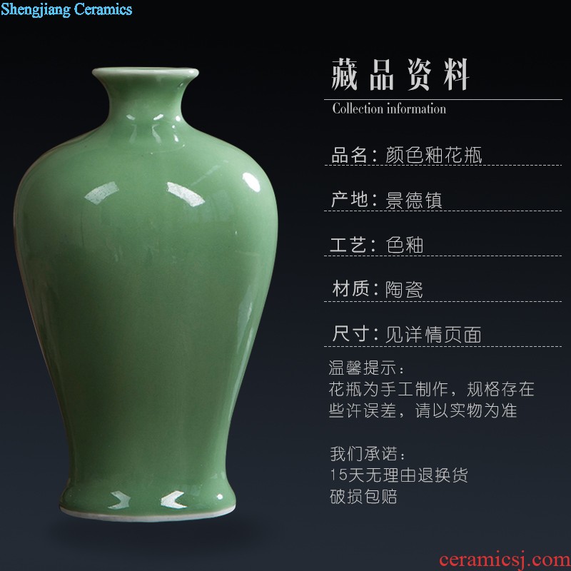 Jingdezhen ceramic hotel 173/living/furniture/garden decoration of large vase Modern furnishing articles decoration