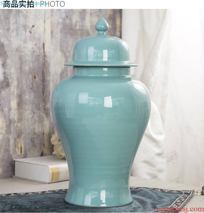 The general pot of furnishing articles household act the role ofing is tasted the modern jingdezhen ceramics creative vase sitting room porch ark crafts