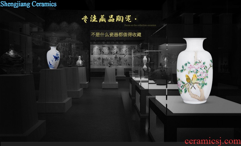 Jingdezhen ceramics of large vases, flower arranging the sitting room porch place large villa home decoration arts and crafts