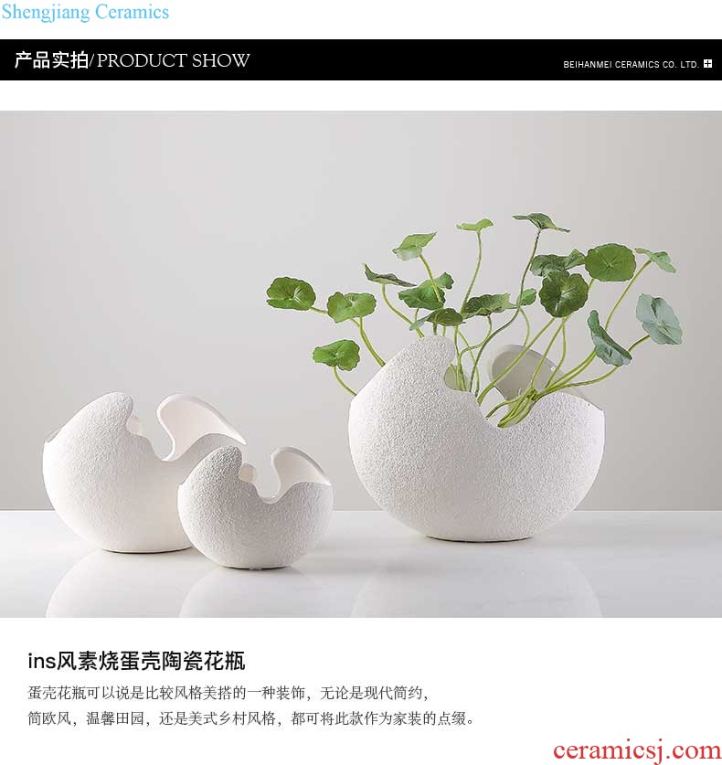 Nordic ins ceramic vases, creative home sitting room is contracted wind art flower arranging dried flowers decorate floret bottle furnishing articles