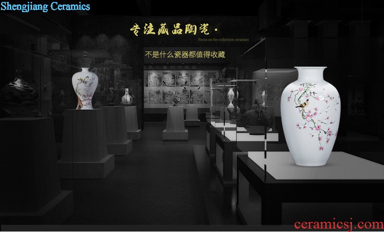 HC - 082 jingdezhen ceramics hand-painted peony of large vases, modern home sitting room decoration that occupy the home furnishing articles