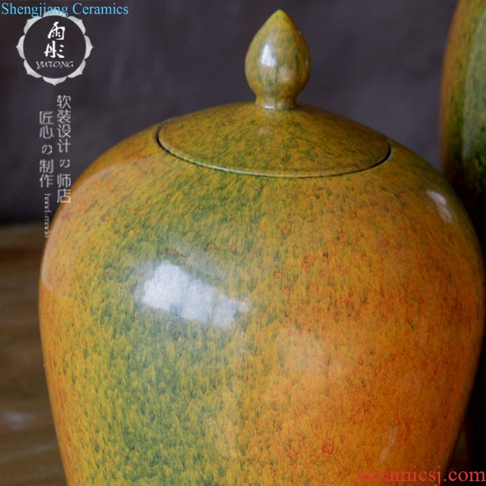 Rain tong home | jingdezhen ceramics gold-plated silver pot-bellied general tank storage tank manual home furnishing articles in the living room