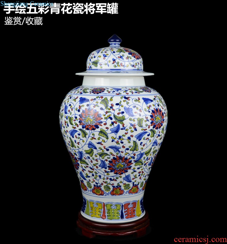 Jingdezhen ceramic hand-painted vases furnishing articles celebrity master new Chinese style household act the role ofing is tasted the sitting room porch place by hand