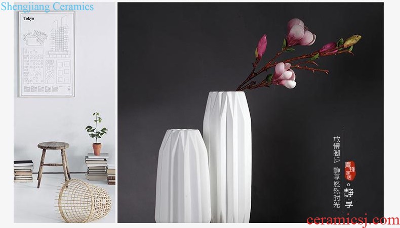 Jingdezhen ceramic vase furnishing articles dry flower arranging flowers large landing household adornment of contemporary sitting room simulation flower suits