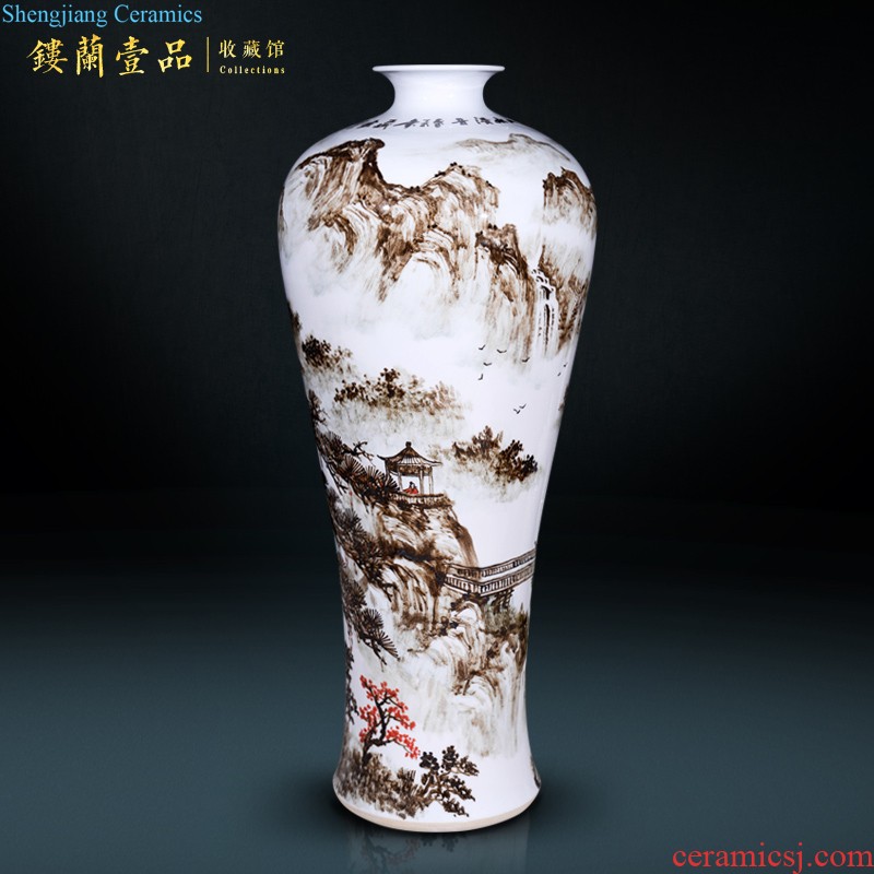 Jingdezhen ceramics antique blue peacock ear vase new Chinese style household decorative furnishing articles sitting room