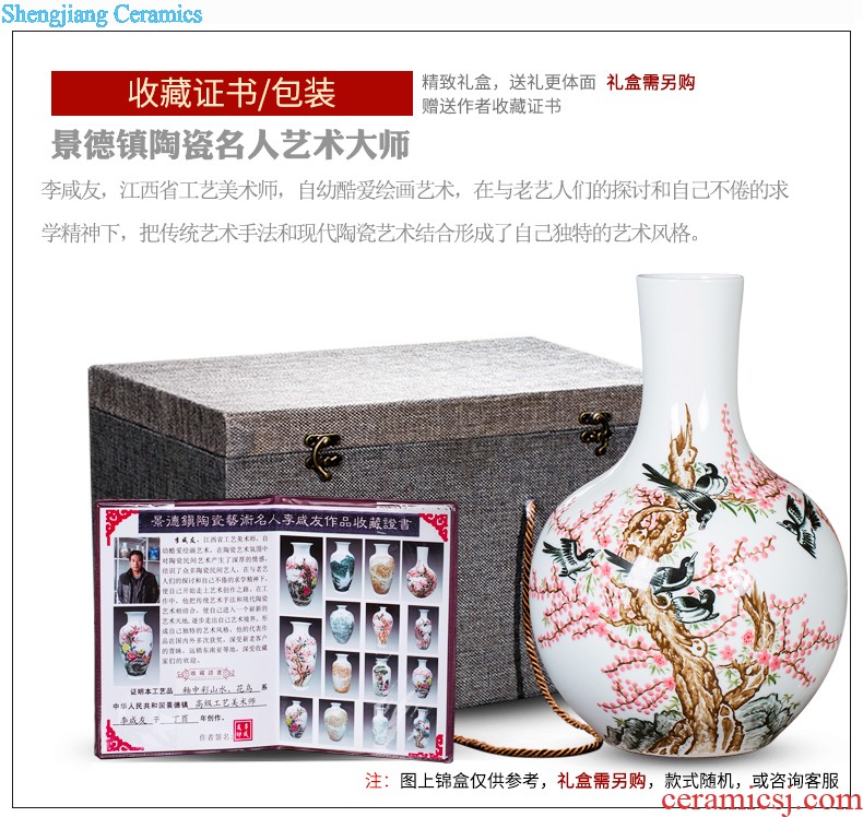 Master of jingdezhen ceramic vase Chinese hand-painted home sitting room porch famille rose more than decorative furnishing articles every year