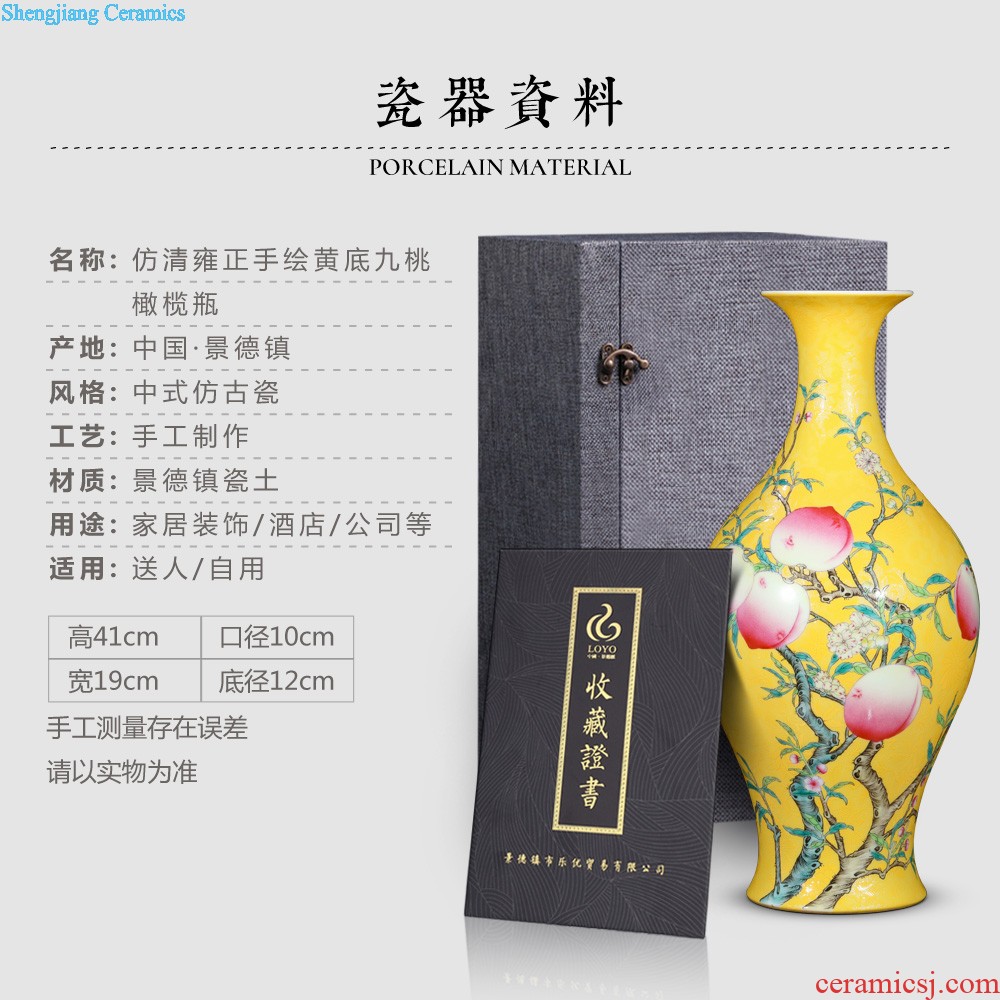 Jingdezhen ceramics vase imitation qing qianlong enamel paint life of binaural statue of Chinese style household furnishing articles offered the dragon king