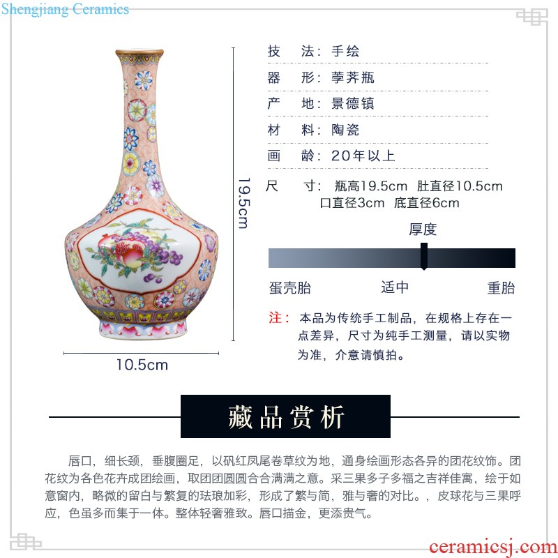 Jingdezhen ceramics hand-painted pastel wealth of large vases, new Chinese style living room flower arranging home furnishing articles