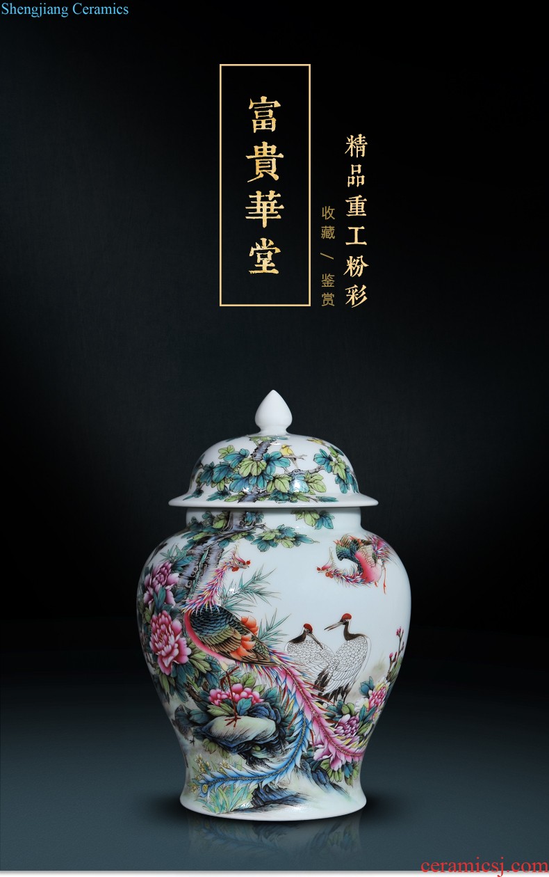 Jingdezhen ceramic hand-painted heavy pastel large sitting room porch is decorated tea storage tank is Chinese style household furnishing articles