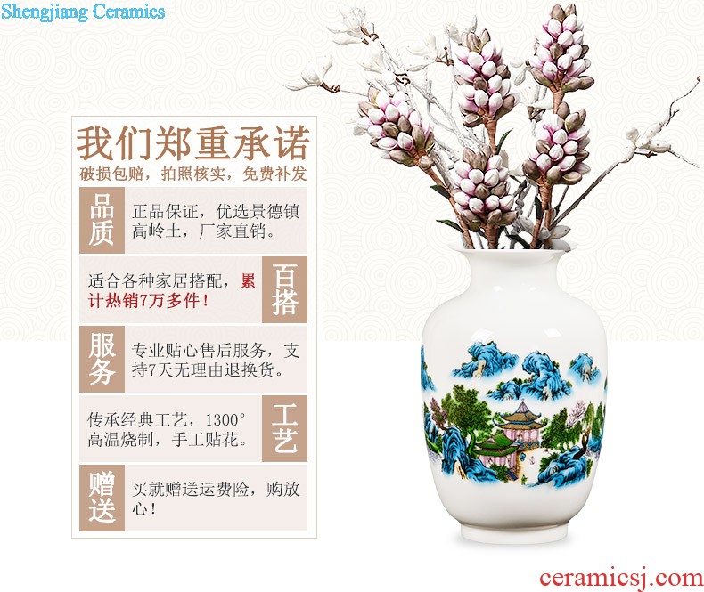 Famous jingdezhen ceramics powder enamel vase flower arranging place Chinese style household living room TV cabinet decoration process