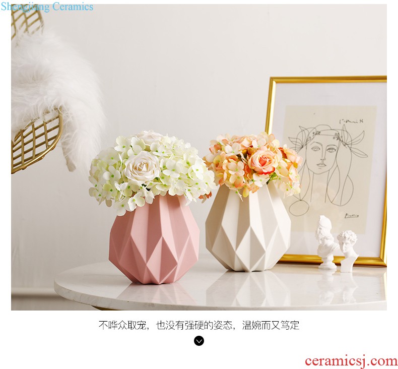 Nordic morandi, ceramic vases, furnishing articles sitting room is contracted dry flower arranging flowers creative decorations ins wind flowers