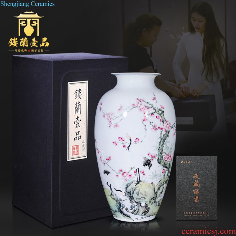 Jingdezhen ceramic hand-painted pastel large vases, flower arranging Chinese style household sofa sitting room porch is decorated collection furnishing articles