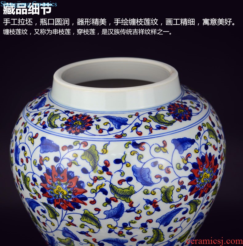 Jingdezhen ceramic hand-painted vases furnishing articles celebrity master new Chinese style household act the role ofing is tasted the sitting room porch place by hand