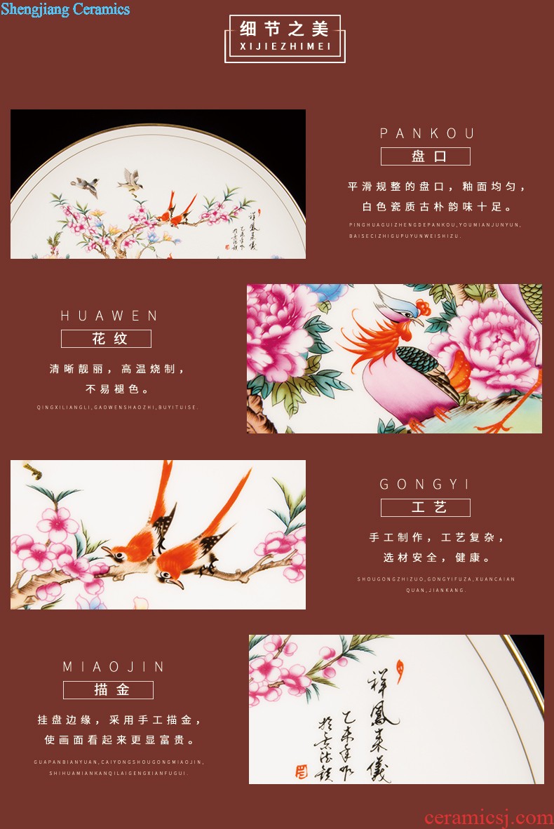 Z032 jingdezhen chinaware paint edge bone China hang dish decorative plate of the sitting room decorates place large parrot