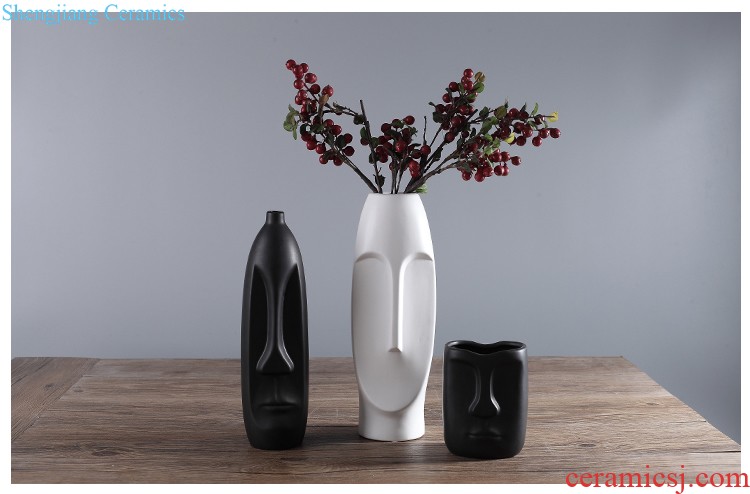 Jingdezhen ceramics vase furnishing articles creative kiln art star modern fashion contracted sitting room home decorations