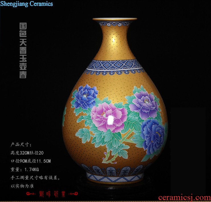 Aj45 jingdezhen ceramics of large vase furnishing articles rich lad admiralty bottles of the sitting room of Chinese style household furnishing articles