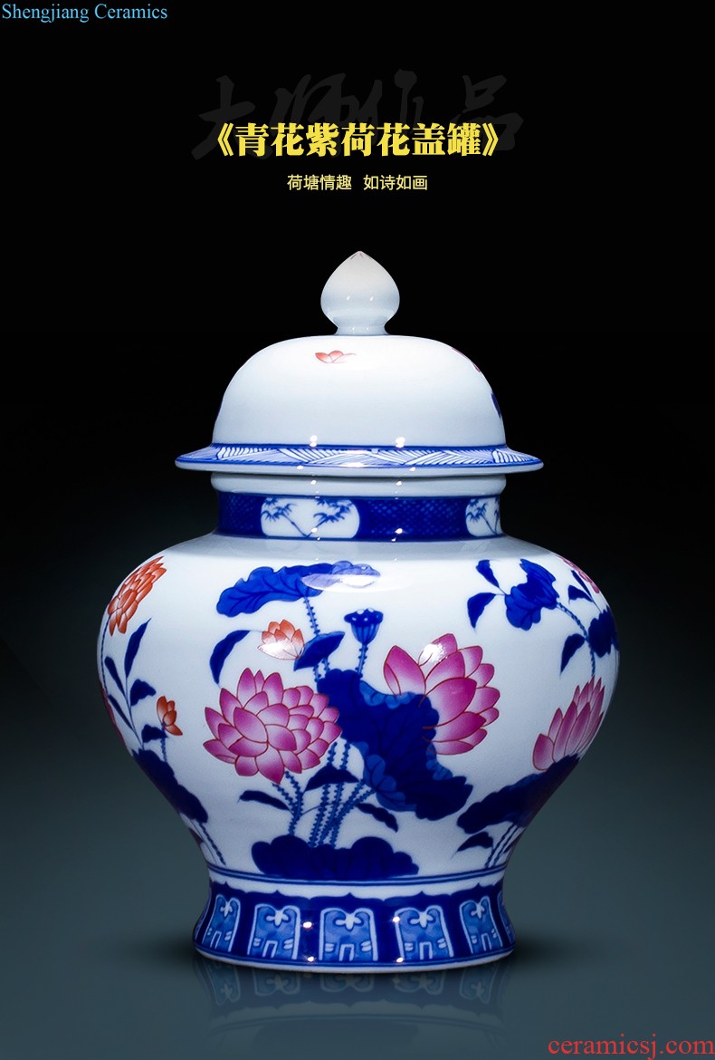 Send the base d324 jingdezhen ceramics vase household act the role ofing is tasted furnishing articles flower arranging, living room decoration