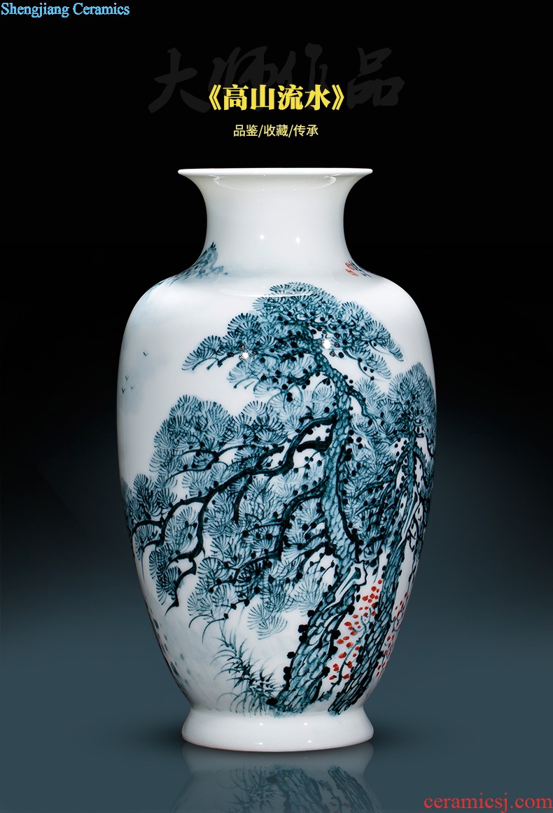 Jingdezhen ceramics antique hand-painted peacock vase sitting room adornment of large Chinese penjing opening gifts