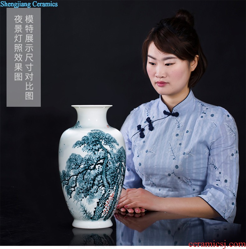 Jingdezhen ceramics antique hand-painted peacock vase sitting room adornment of large Chinese penjing opening gifts