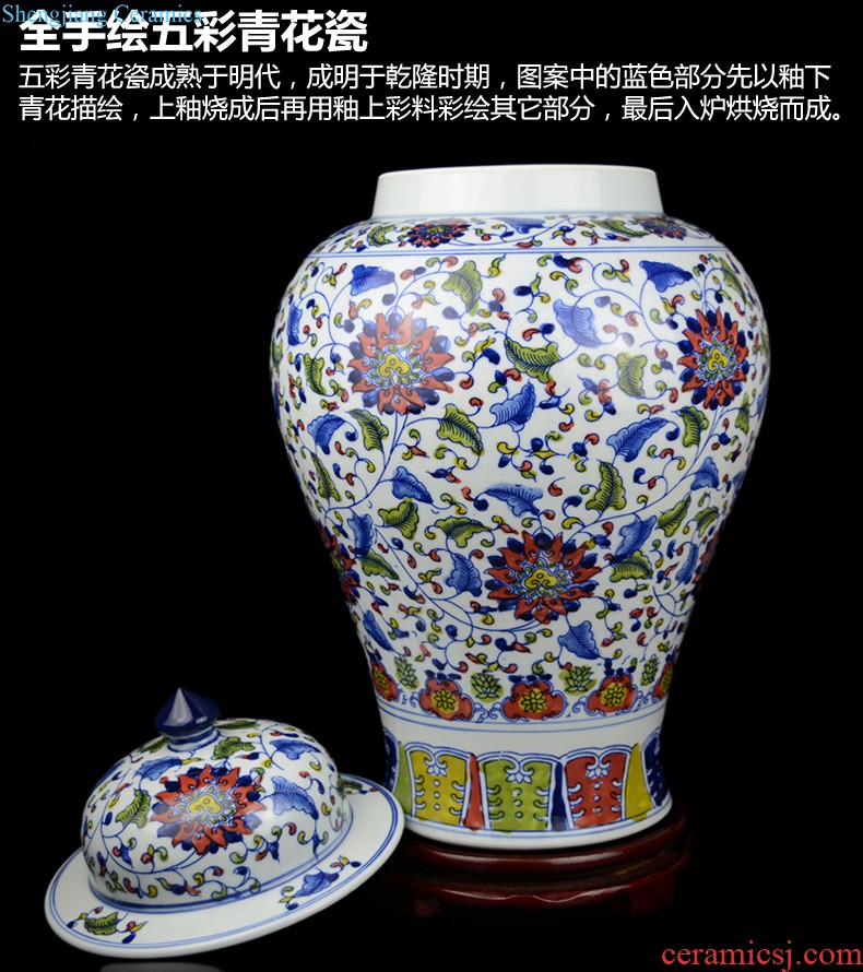 Jingdezhen ceramic hand-painted vases furnishing articles celebrity master new Chinese style household act the role ofing is tasted the sitting room porch place by hand