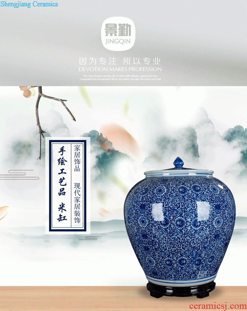 Sitting room be born 274 jingdezhen ceramics vase contemporary and contracted household adornment handicraft decoration furnishing articles