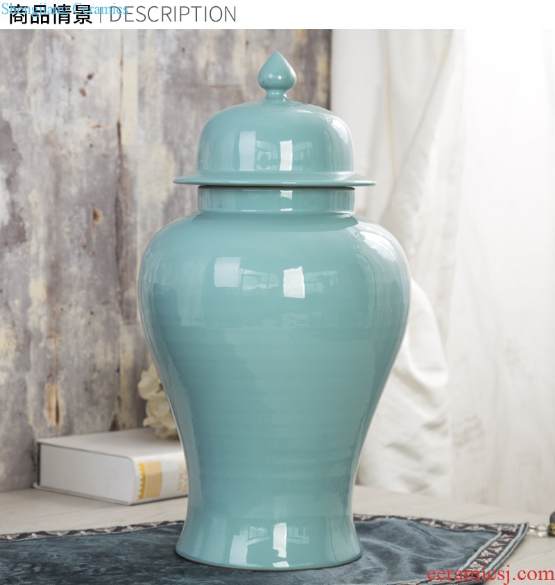 The general pot of furnishing articles household act the role ofing is tasted the modern jingdezhen ceramics creative vase sitting room porch ark crafts