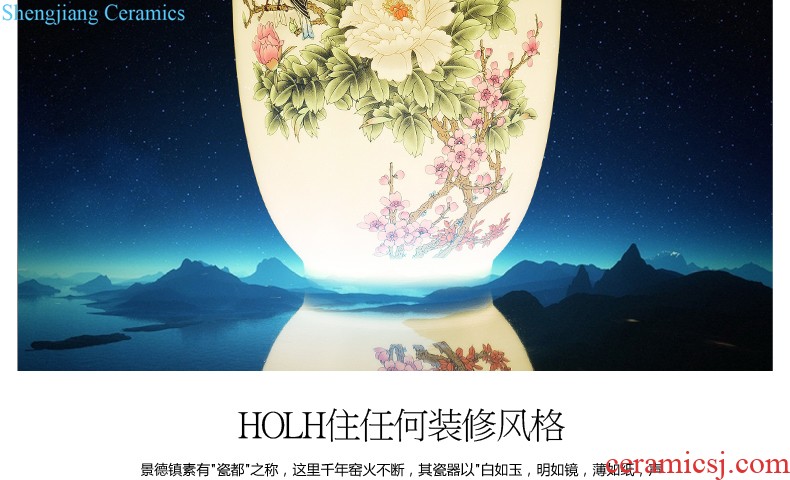 Jingdezhen ceramics white eggshell creative floret bottle sitting room adornment hydroponic flower arrangement furnishing articles of modern art