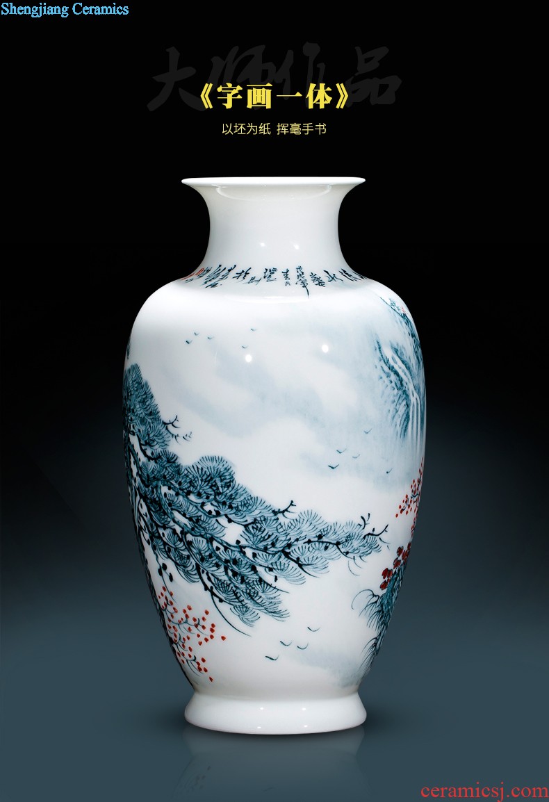 Jingdezhen ceramics antique hand-painted peacock vase sitting room adornment of large Chinese penjing opening gifts