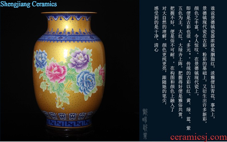 Aj45 jingdezhen ceramics of large vase furnishing articles rich lad admiralty bottles of the sitting room of Chinese style household furnishing articles