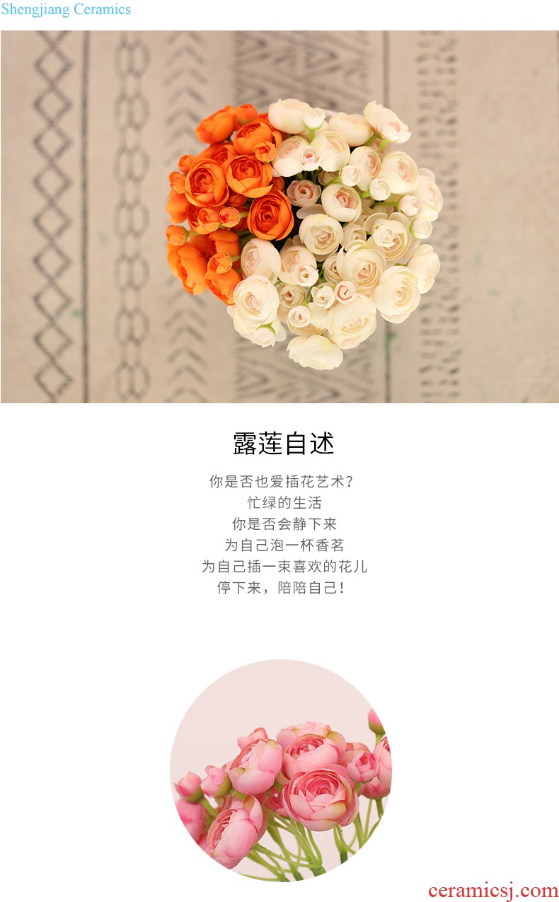 Mr Han mei Europe type restoring ancient ways ceramic vases, flower implement furnishing articles creative fashion mesa bottled L247 roses