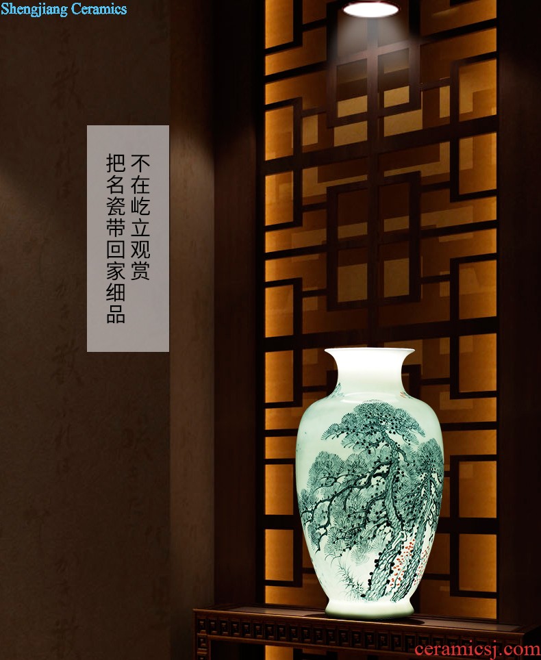 Jingdezhen ceramics antique hand-painted peacock vase sitting room adornment of large Chinese penjing opening gifts