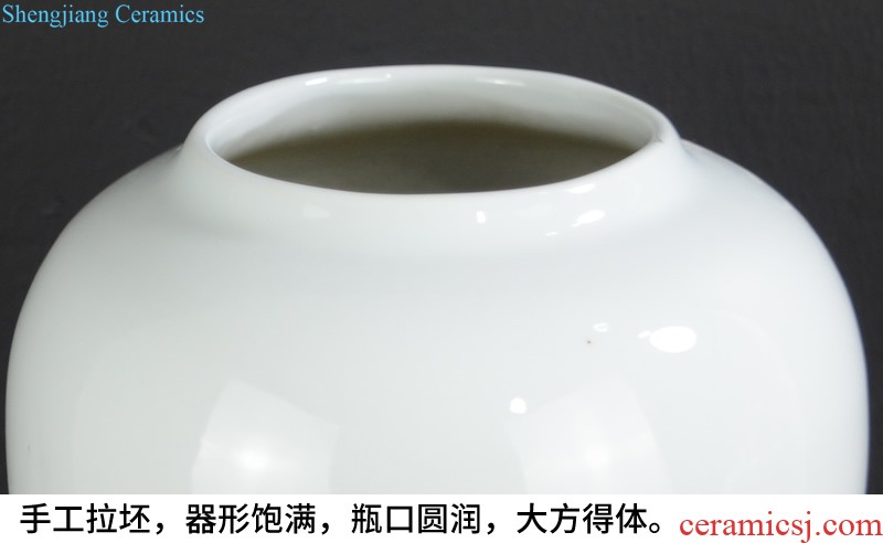 Jingdezhen ceramic vase variable blue sitting room household act the role ofing is tasted furnishing articles of modern creative arts porcelain arts and crafts