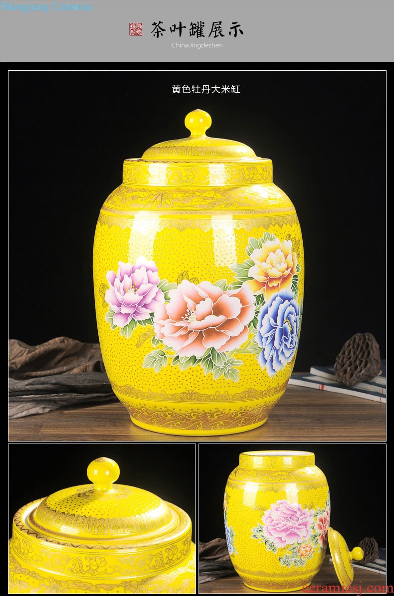 Jingdezhen ceramics vase hand-painted sabingga sukdun dergici jimbi plum bottle of flower arranging new Chinese contemporary sitting room decoration