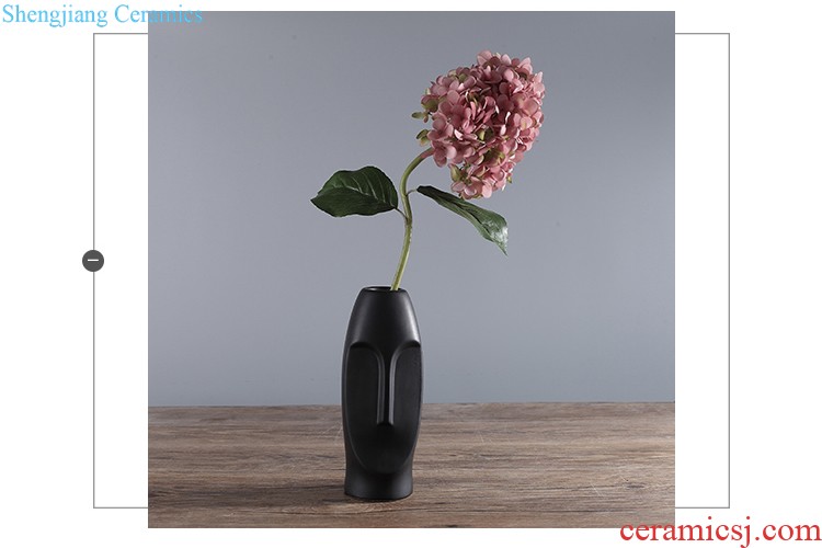 Jingdezhen ceramics vase furnishing articles creative kiln art star modern fashion contracted sitting room home decorations