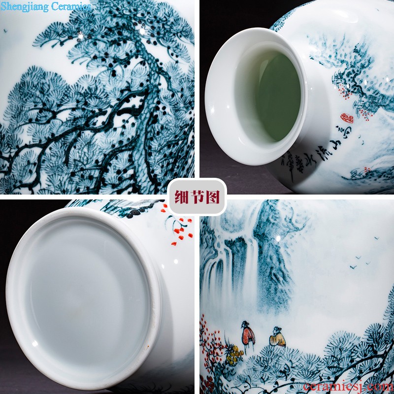 Jingdezhen ceramics antique hand-painted peacock vase sitting room adornment of large Chinese penjing opening gifts