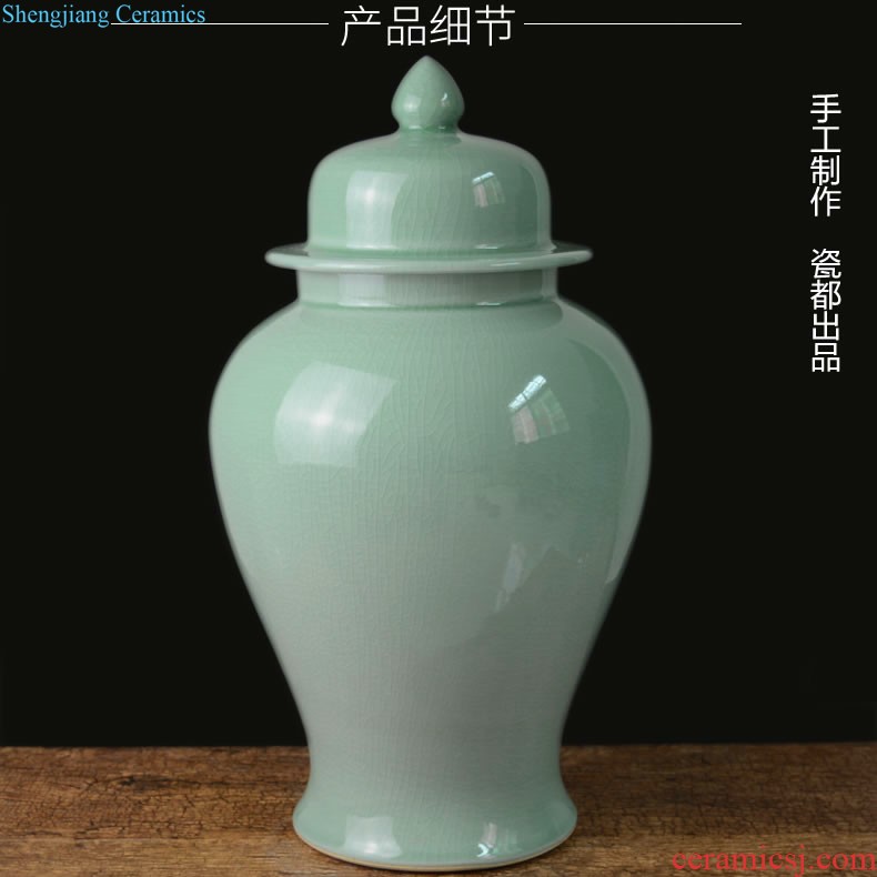 Jingdezhen ceramic pot Chinese hand-painted lotus sitting room between example creative household soft adornment handicraft furnishing articles