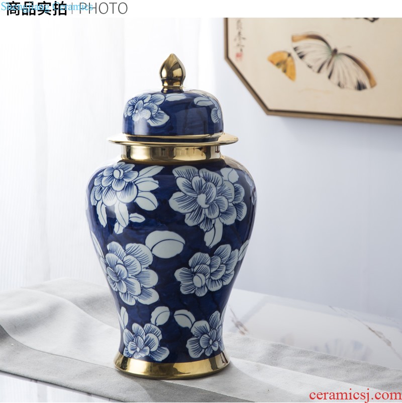 Jingdezhen ceramic European contracted floret bottle home sitting room all over the sky star hydroponic flower arrangement the flower adornment furnishing articles