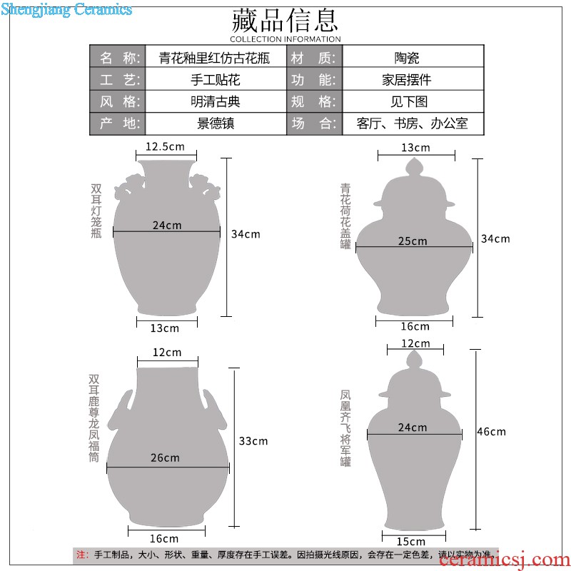 High aj45 jingdezhen ceramics vase furnishing articles in extremely good fortune sitting room ground large Chinese style household decoration