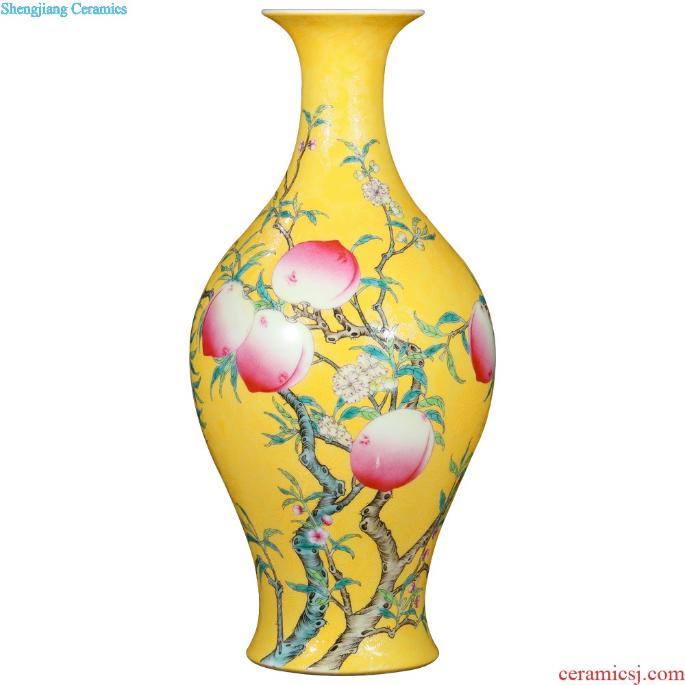 Jingdezhen ceramics vase imitation qing qianlong enamel paint life of binaural statue of Chinese style household furnishing articles offered the dragon king